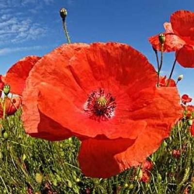 Bsports必一网页版登录